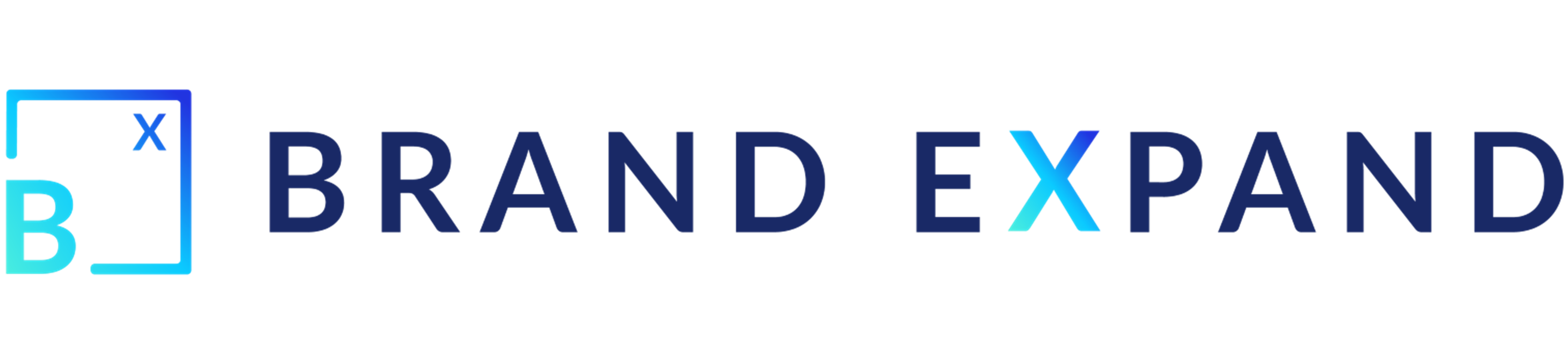 Brand Expand Logo